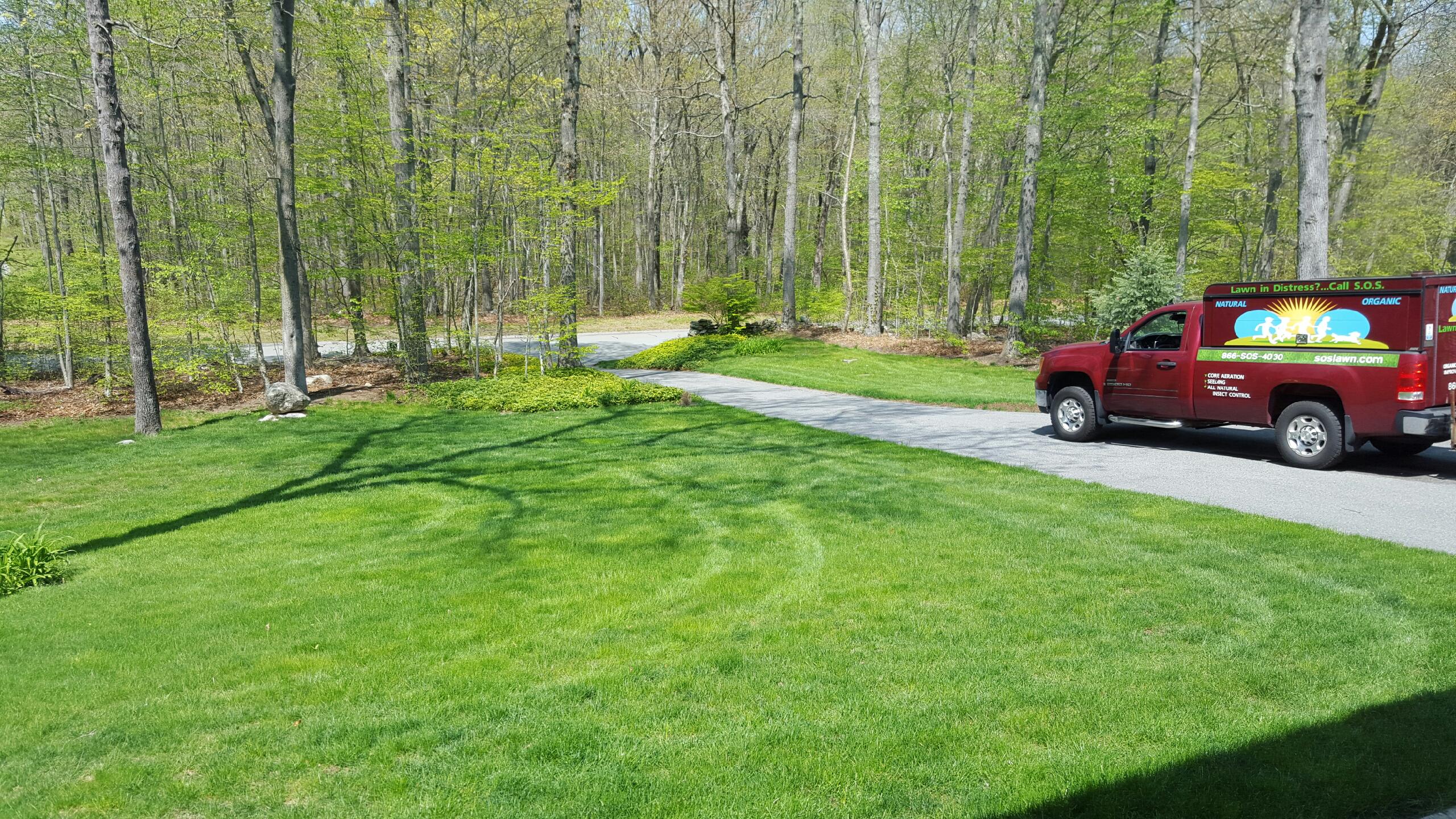 Truck &amp; lawn